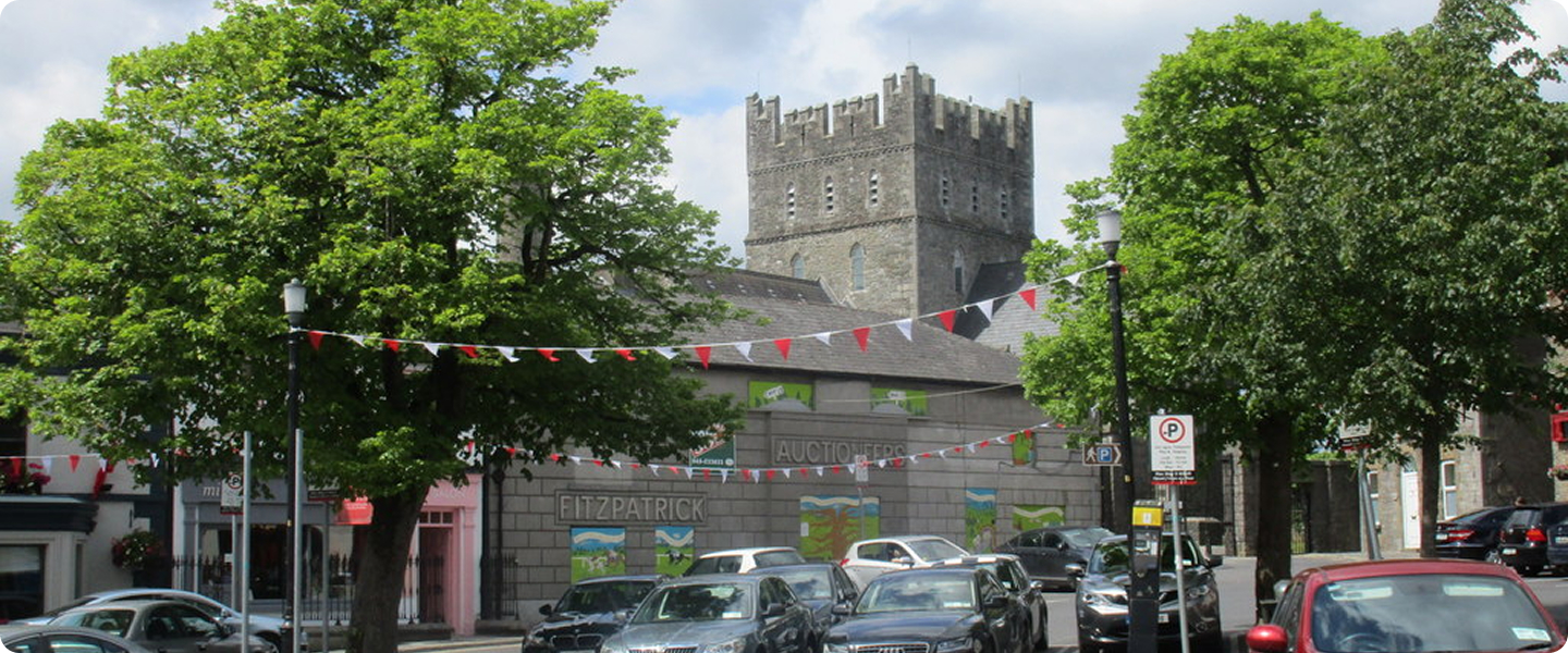 Kildare street view